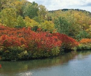 �_�C�G�b�g�T�v�������g�ƃg�N�z
